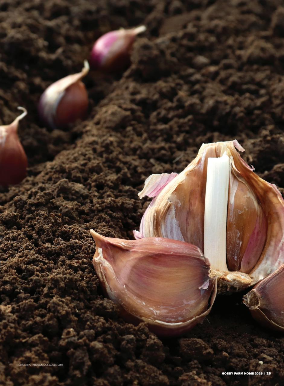 Hobby Farms Magazine Preview Pages