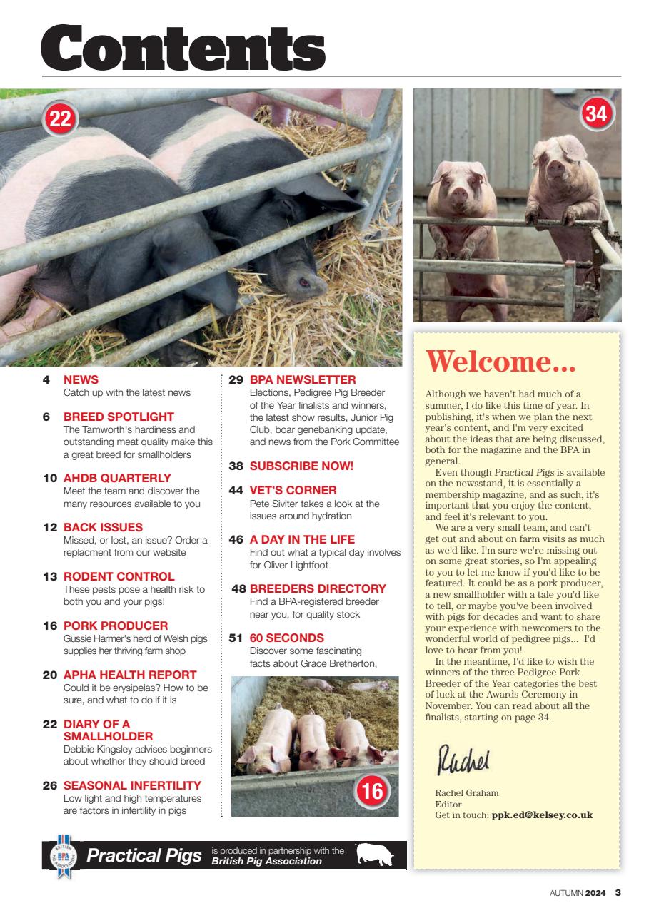 Practical Pigs Preview Pages