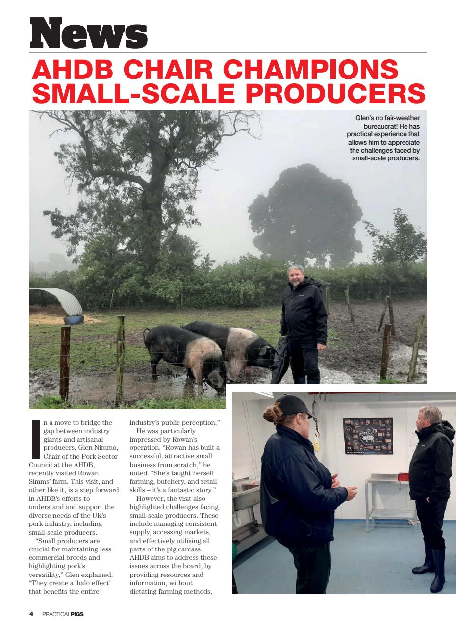 Practical Pigs Preview Pages