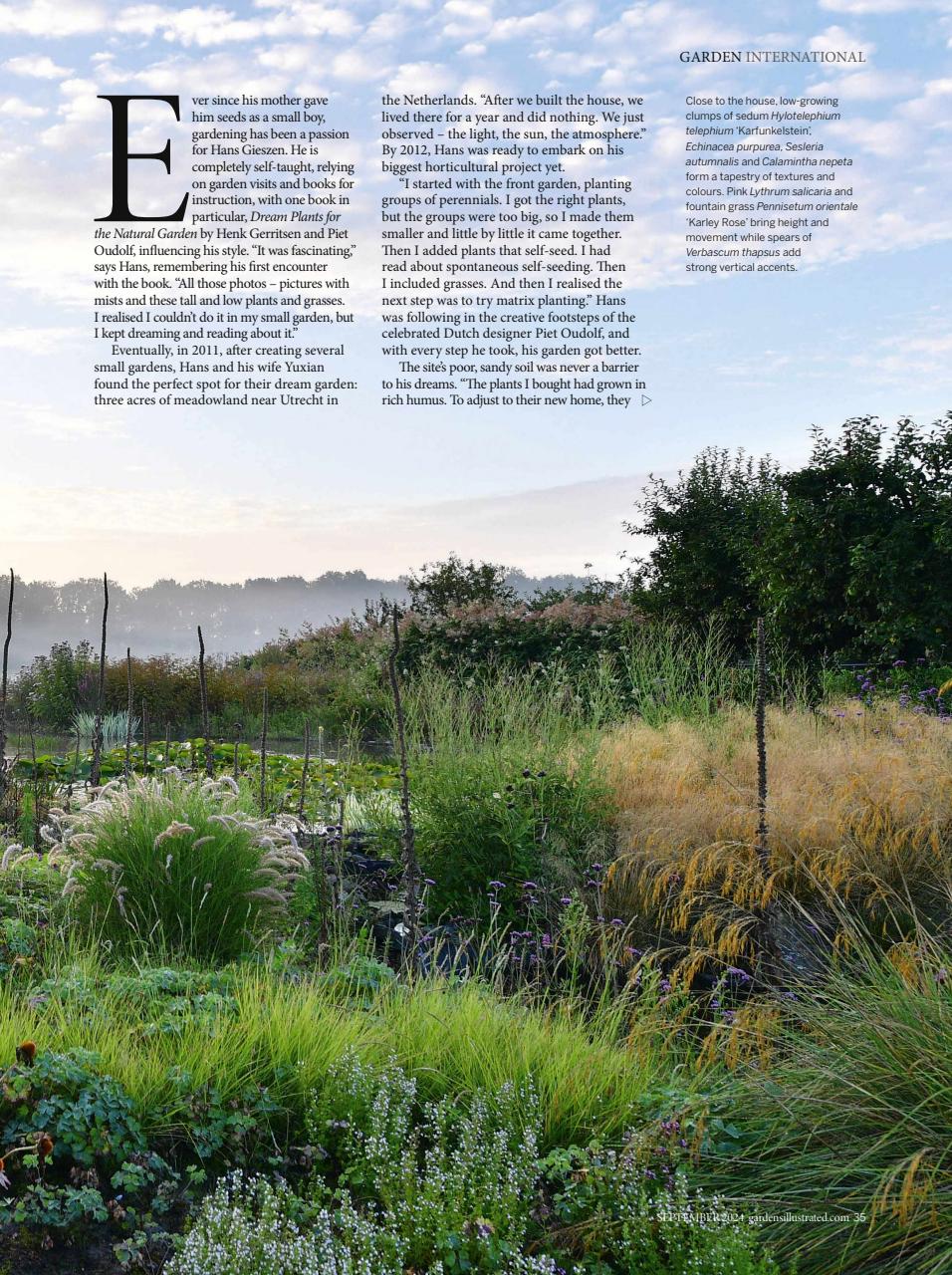 Gardens Illustrated Preview Pages