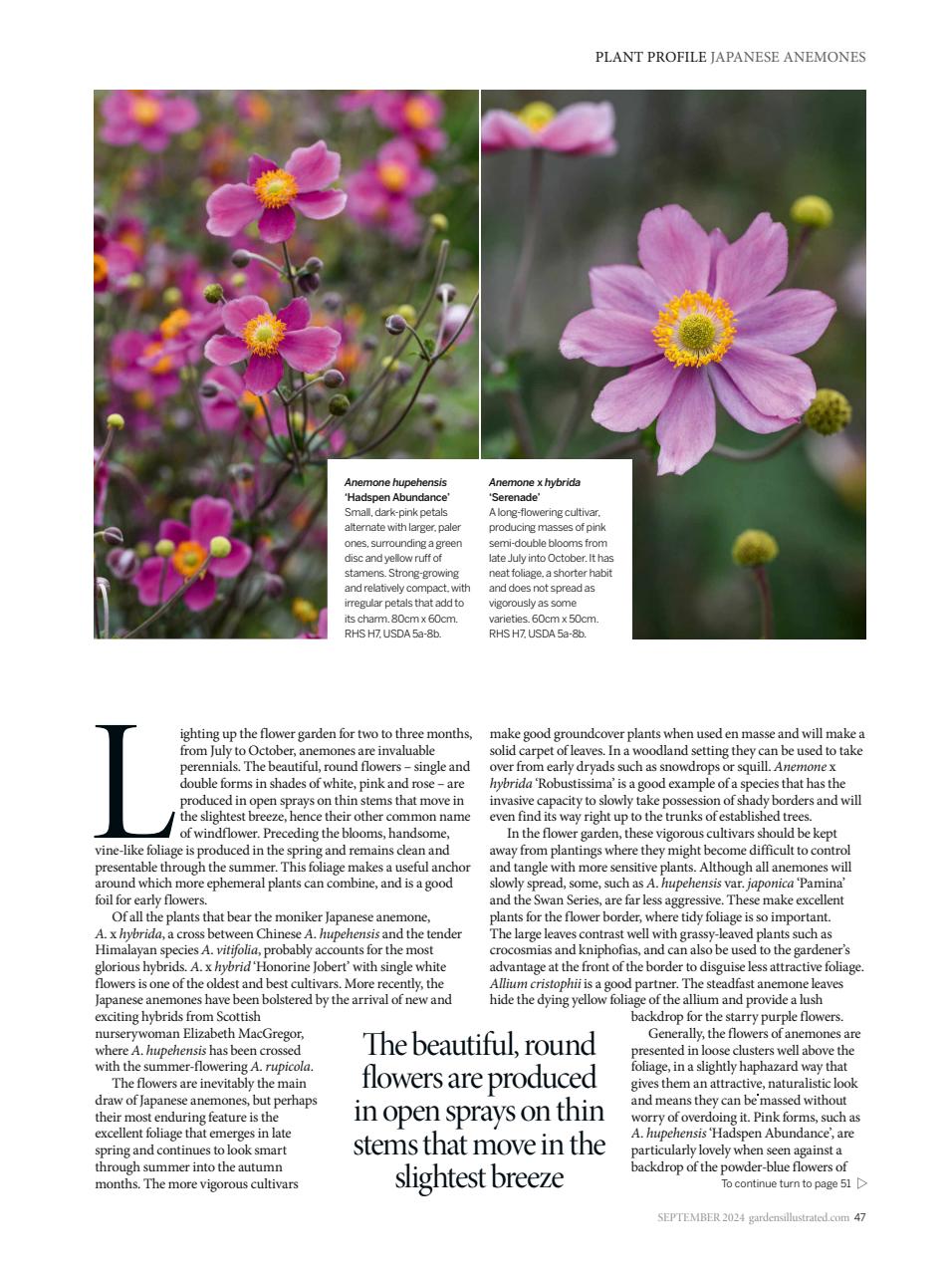 Gardens Illustrated Preview Pages