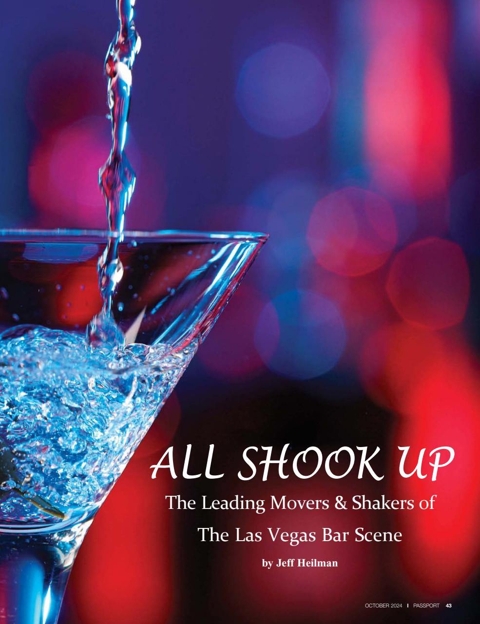 Passport Preview Pages