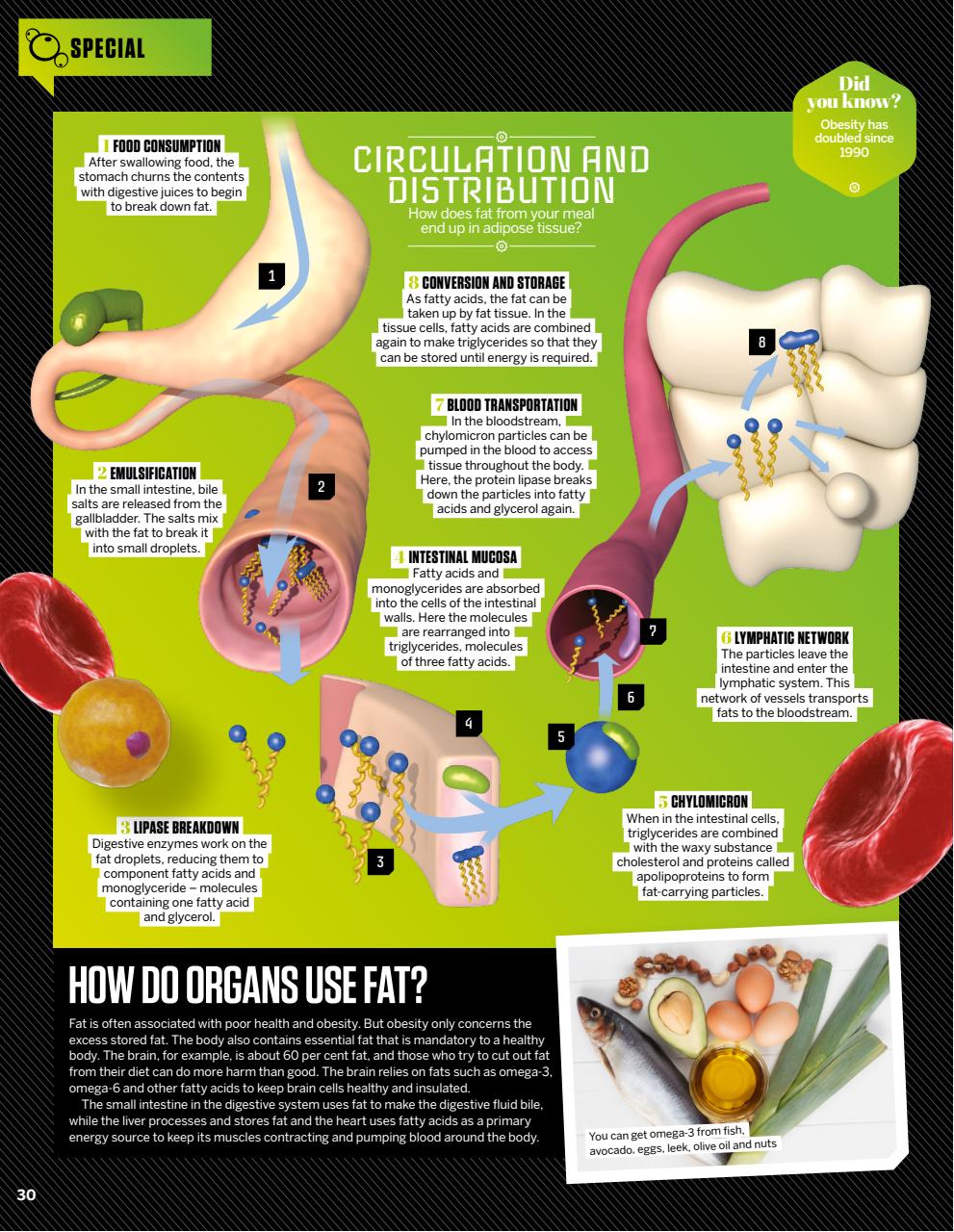 How It Works Preview Pages