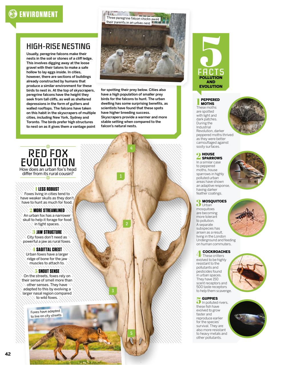 How It Works Preview Pages