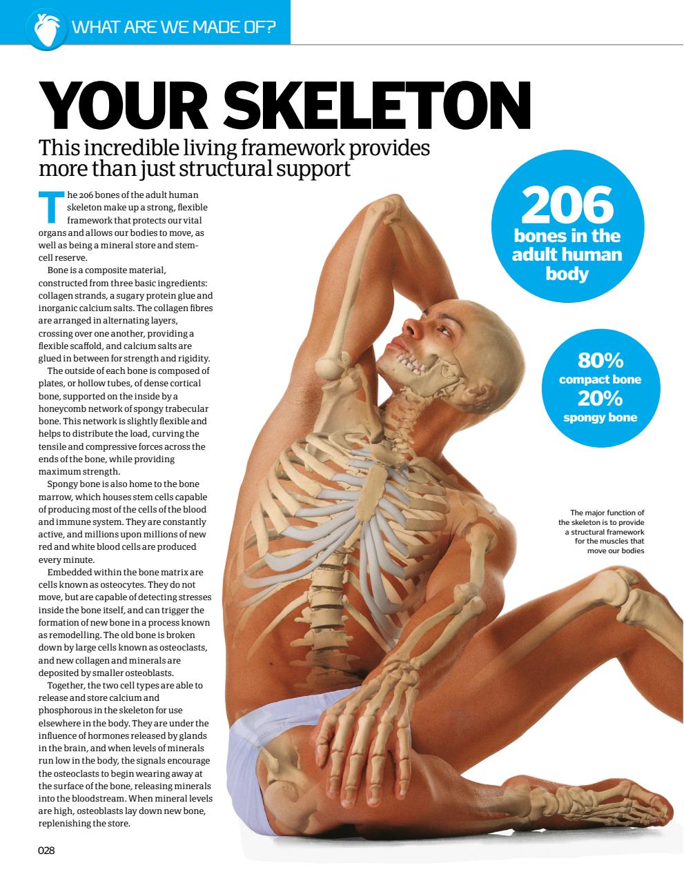 How It Works Bookazine Preview Pages