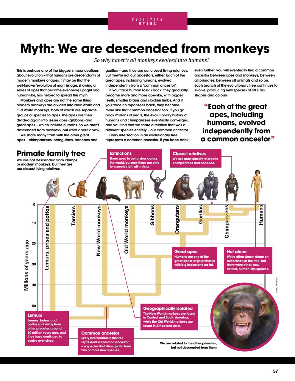 How It Works Bookazine Preview Pages