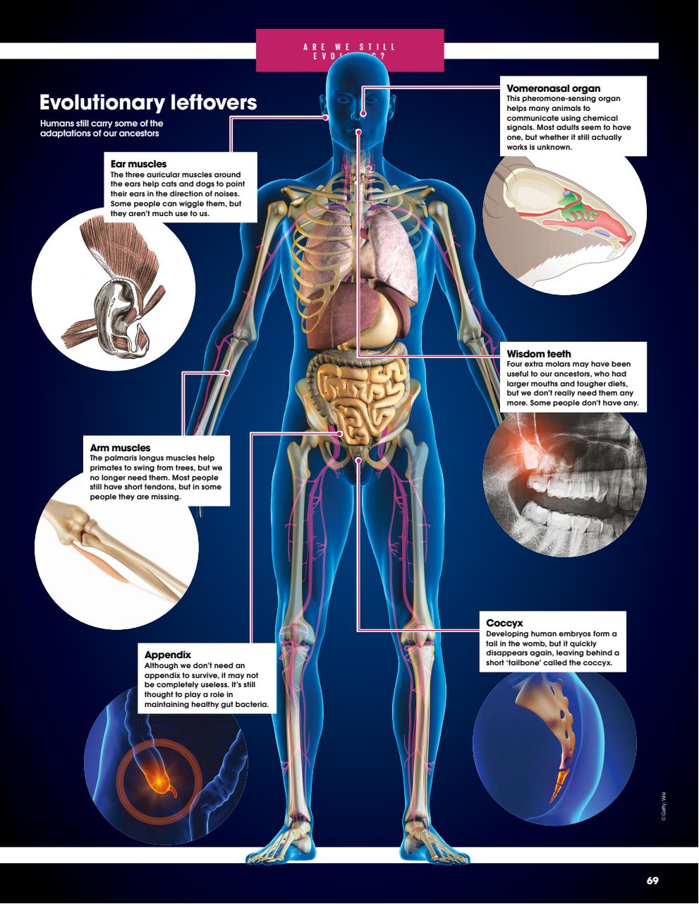 How It Works Bookazine Preview Pages