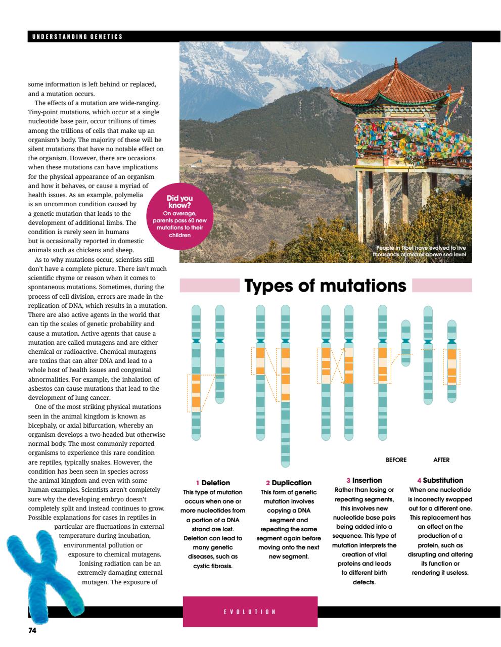 How It Works Bookazine Preview Pages