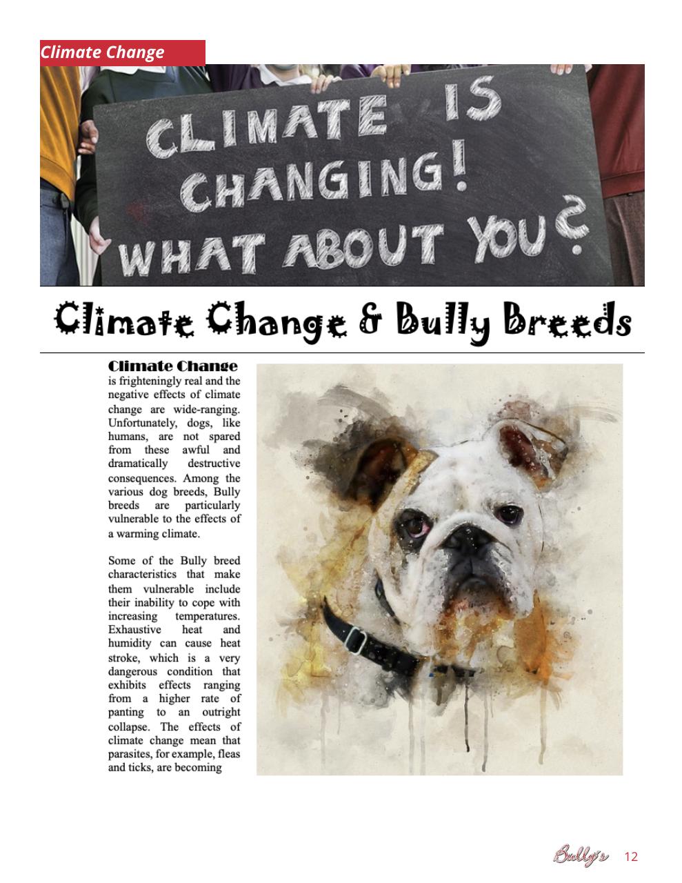 Bully’s - The Bulldog Magazine Preview Pages