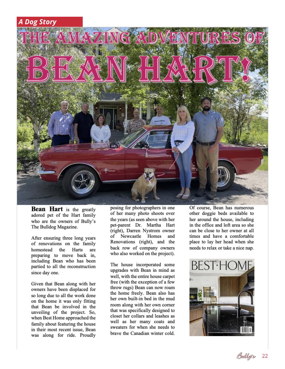 Bully’s - The Bulldog Magazine Preview Pages