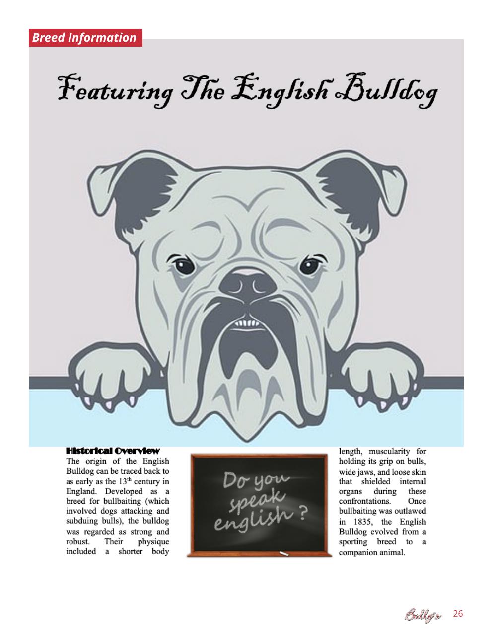 Bully’s - The Bulldog Magazine Preview Pages