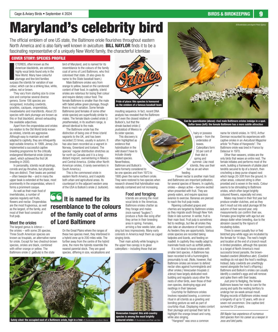 Cage & Aviary Birds Preview Pages