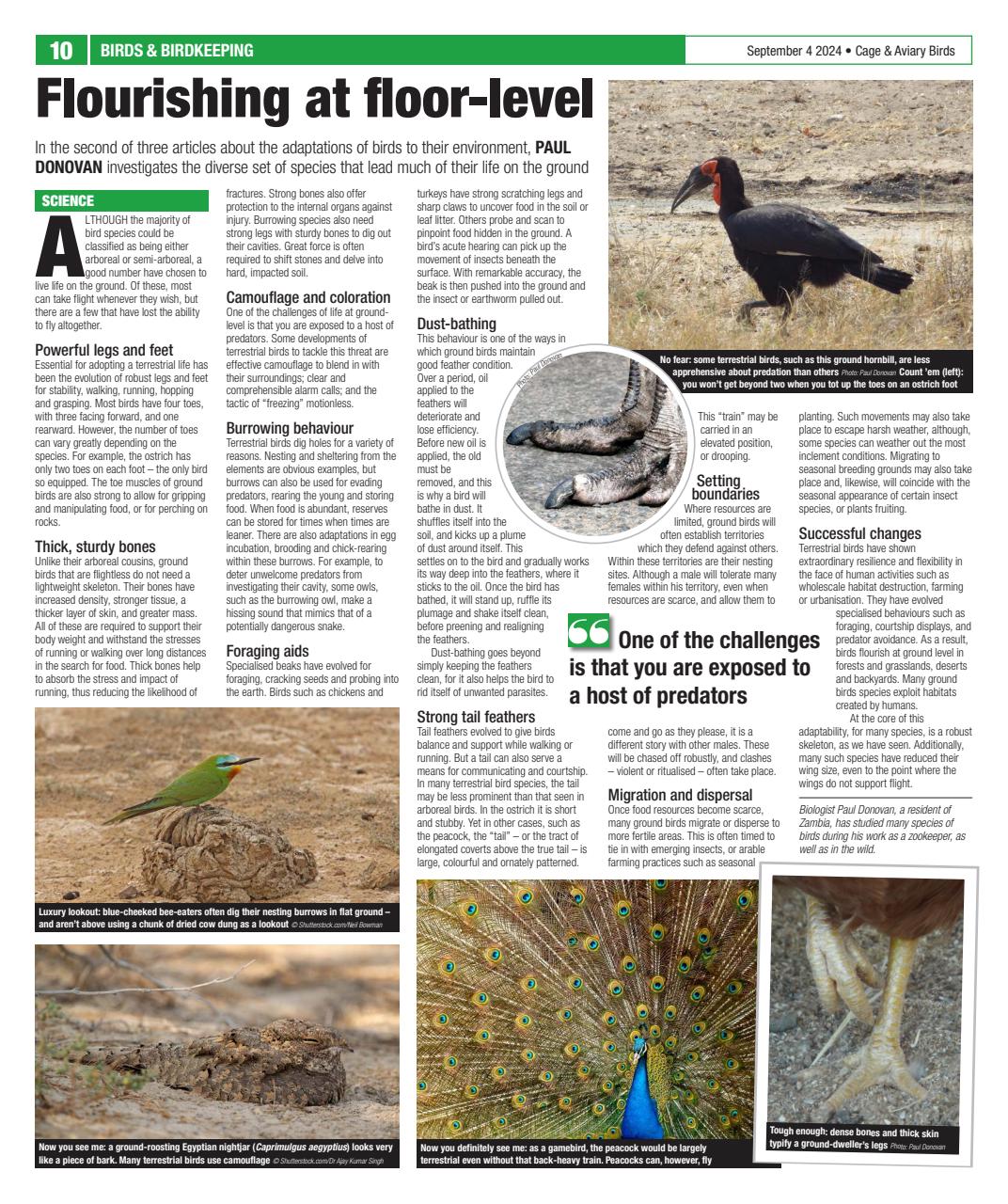 Cage & Aviary Birds Preview Pages