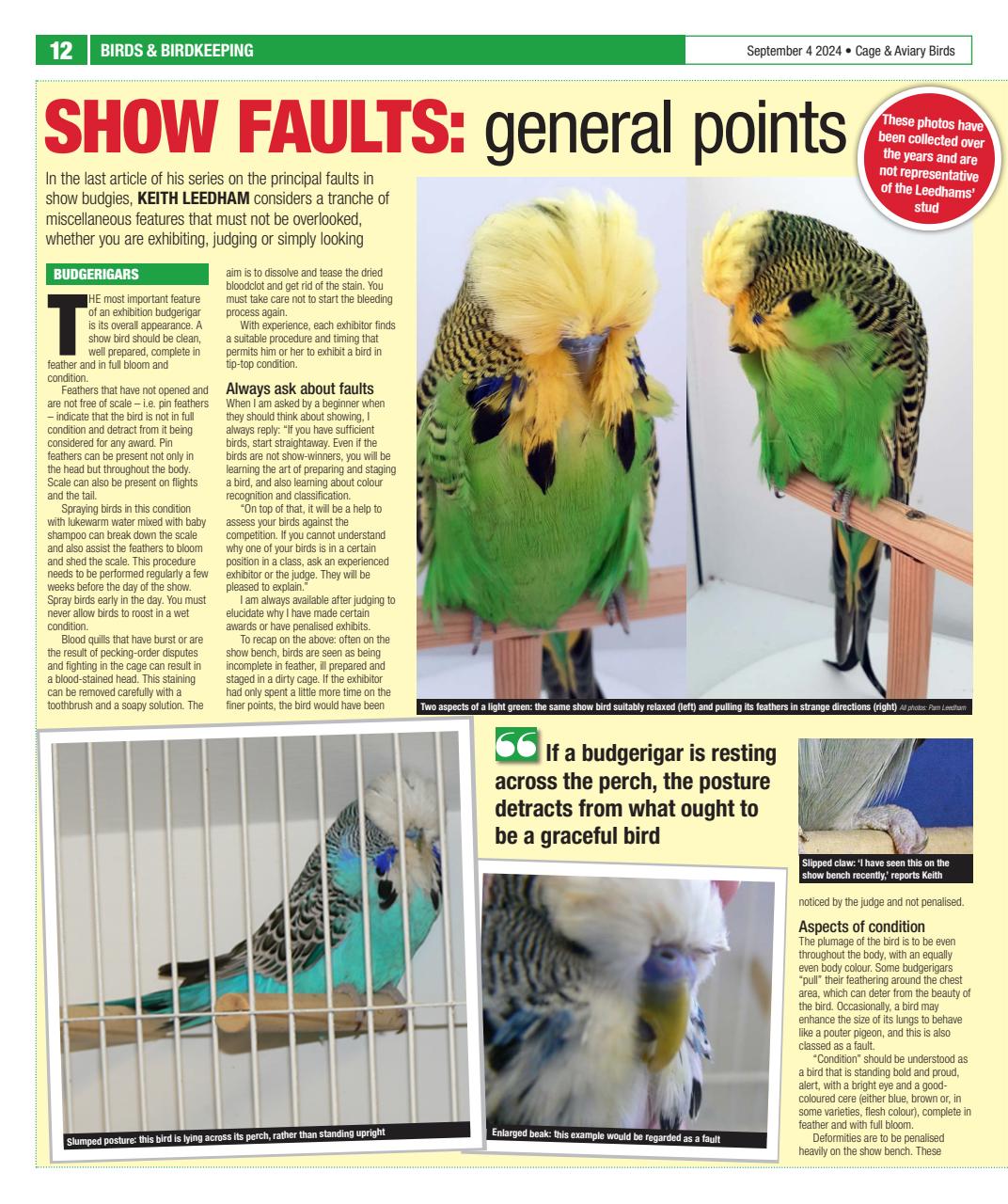 Cage & Aviary Birds Preview Pages