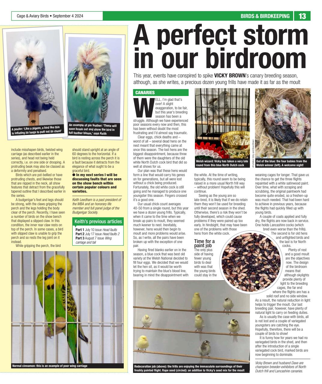 Cage & Aviary Birds Preview Pages