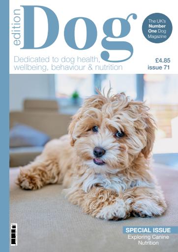 Edition Dog issue 