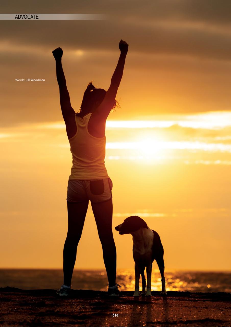 Edition Dog Preview Pages