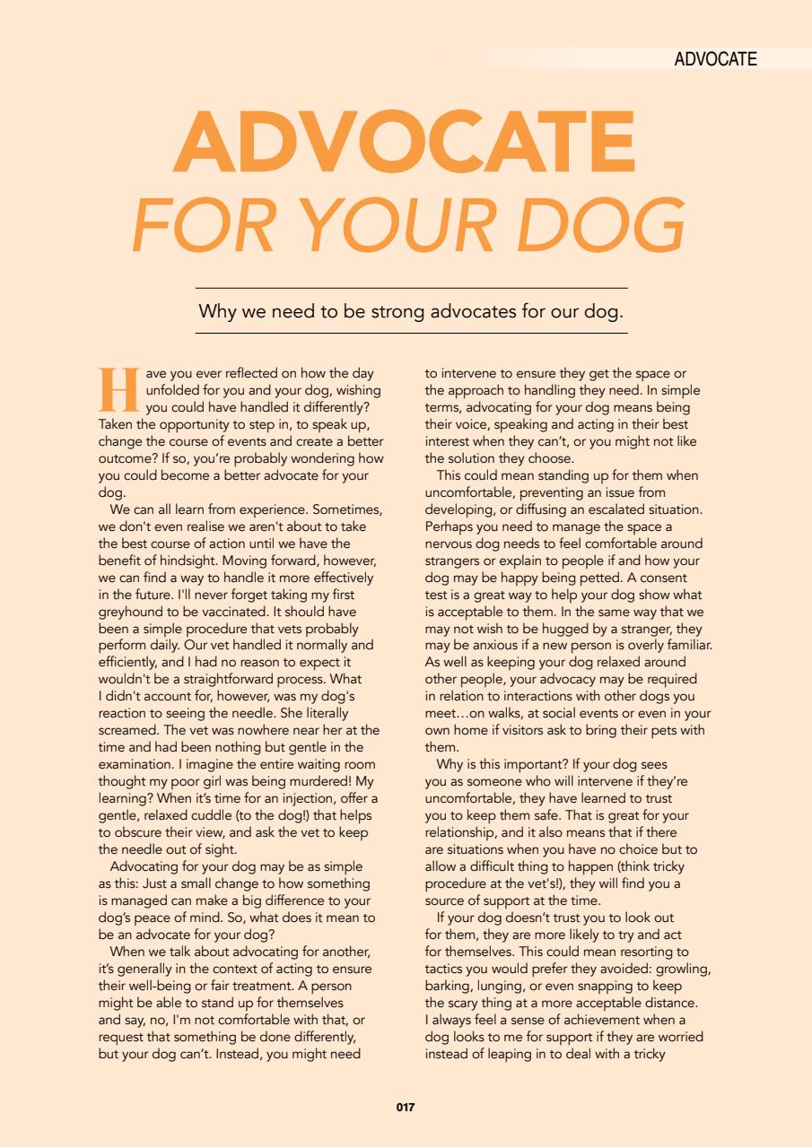 Edition Dog Preview Pages