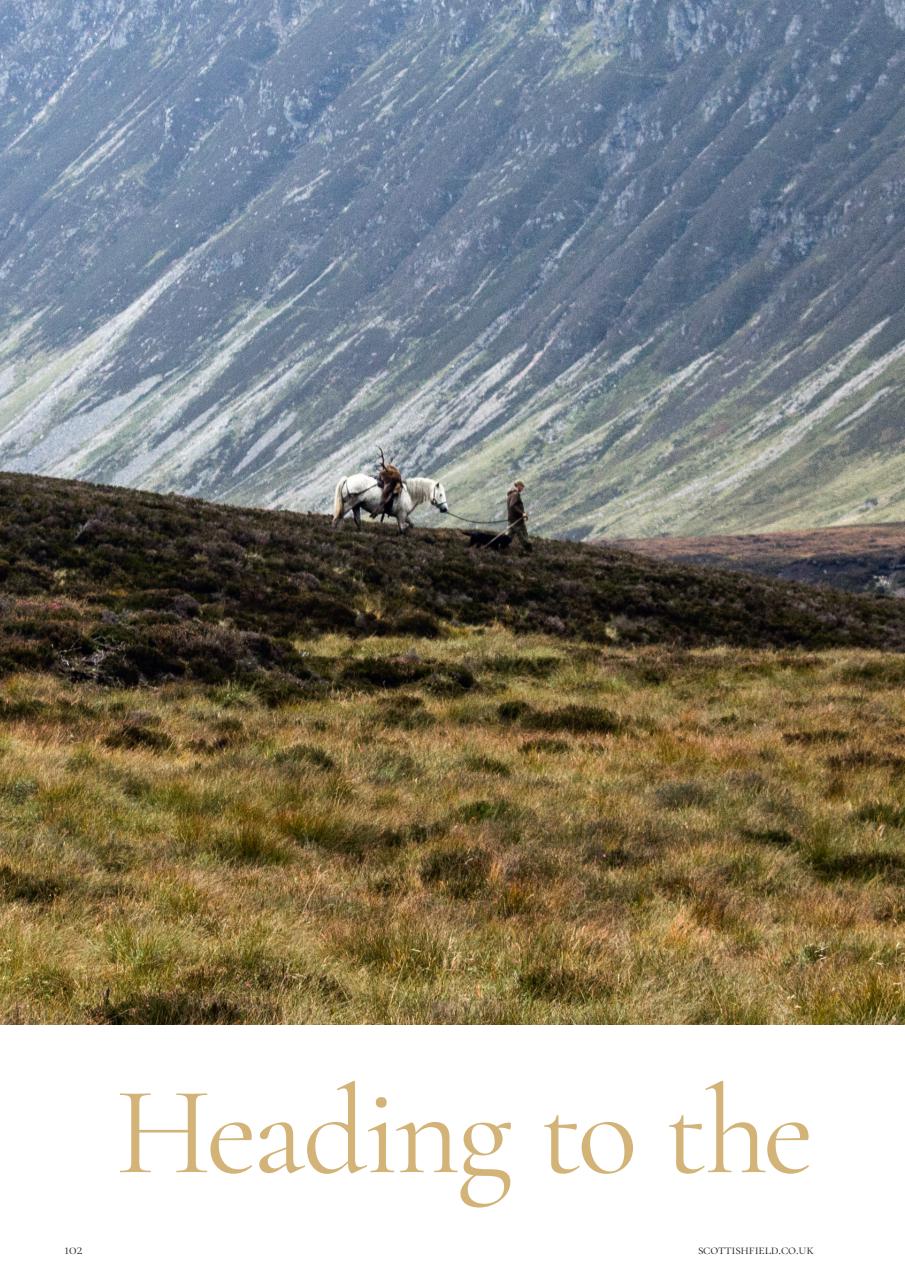 Scottish Field Preview Pages