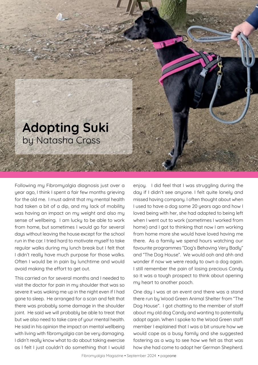 Fibromyalgia Magazine Preview Pages