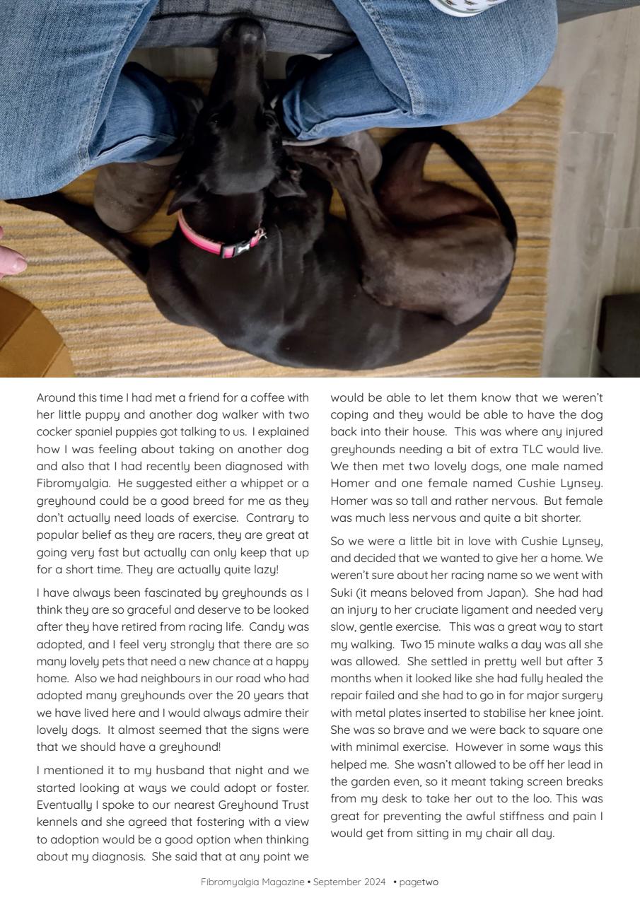 Fibromyalgia Magazine Preview Pages