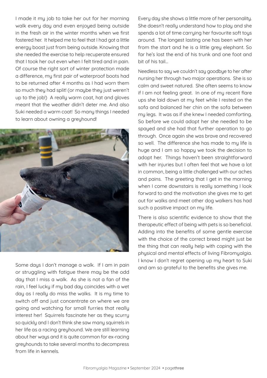 Fibromyalgia Magazine Preview Pages