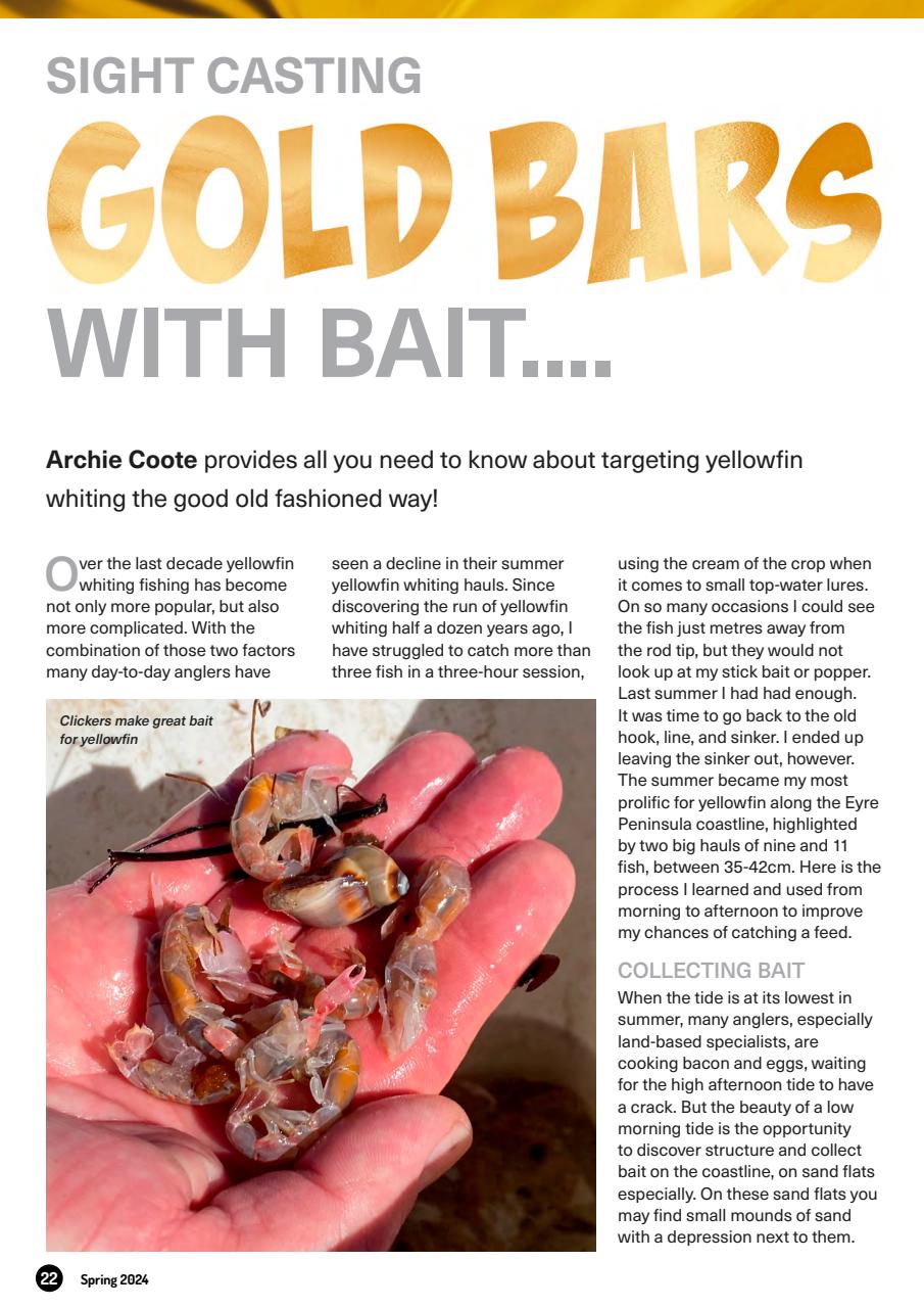South Australian Angler Preview Pages