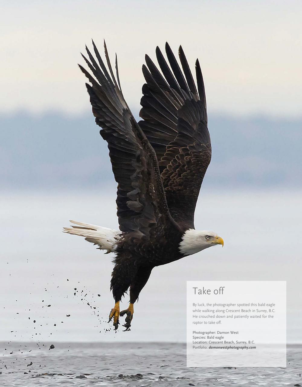 Canadian Geographic Preview Pages