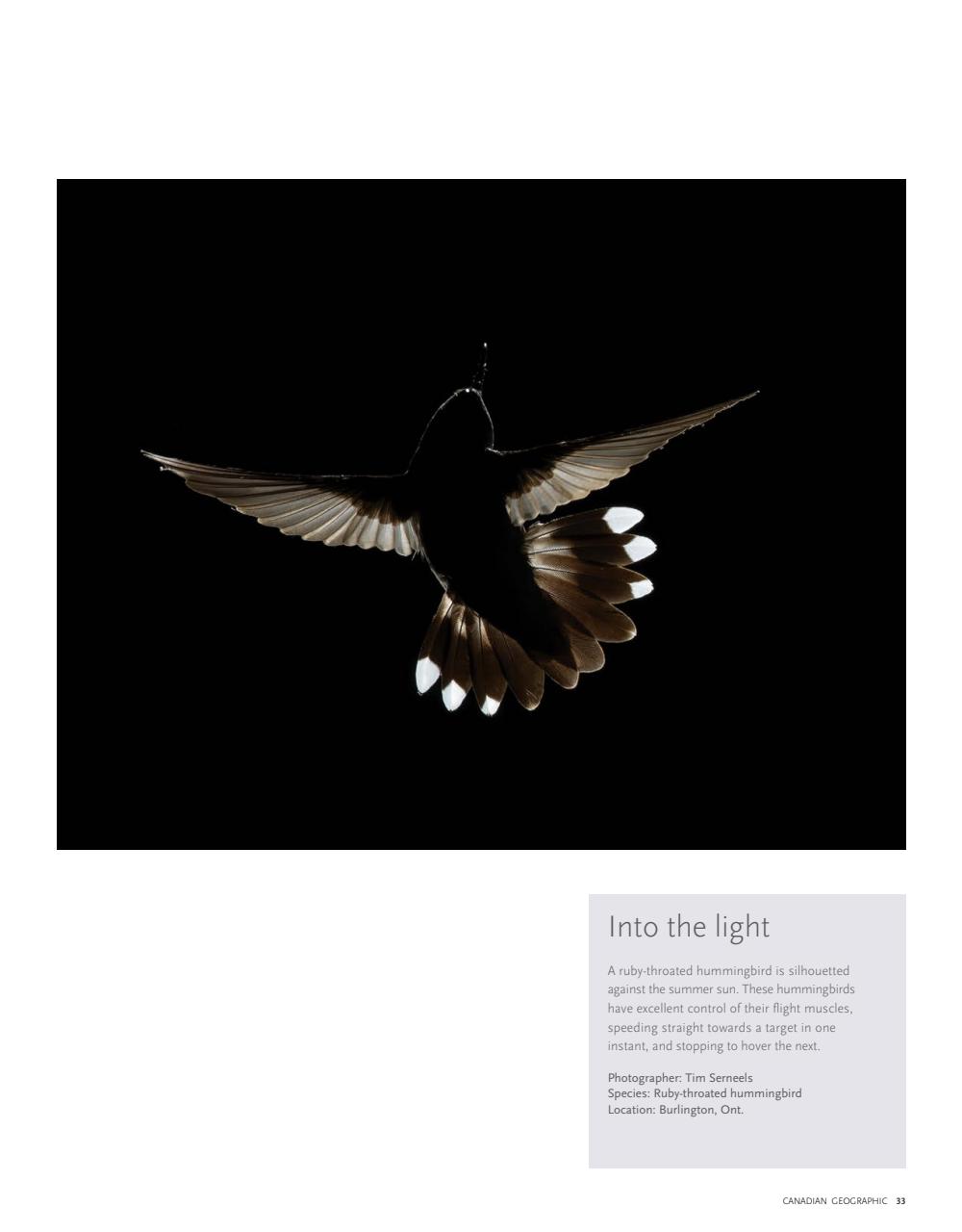 Canadian Geographic Preview Pages