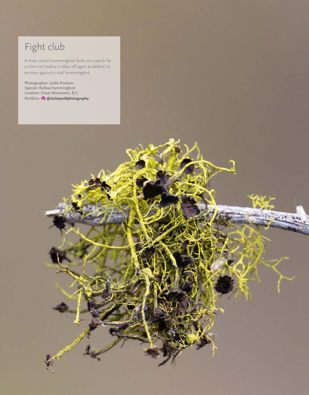 Canadian Geographic Preview Pages