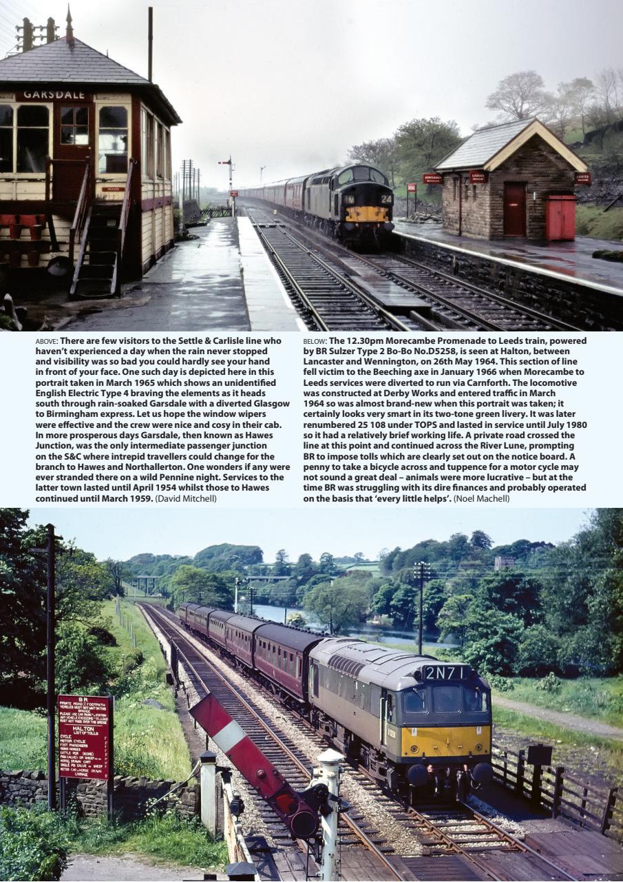 Backtrack Preview Pages