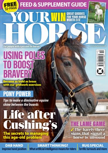Your Horse issue 
