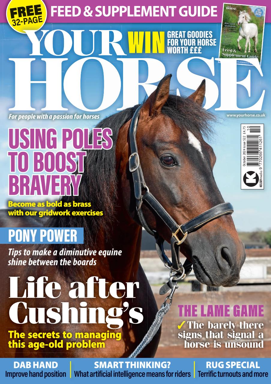 Your Horse Preview Pages
