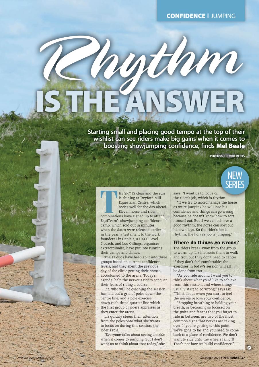 Your Horse Preview Pages