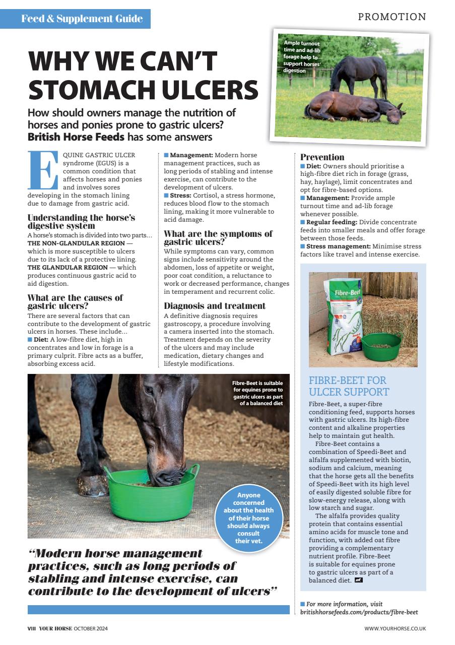 Your Horse Preview Pages