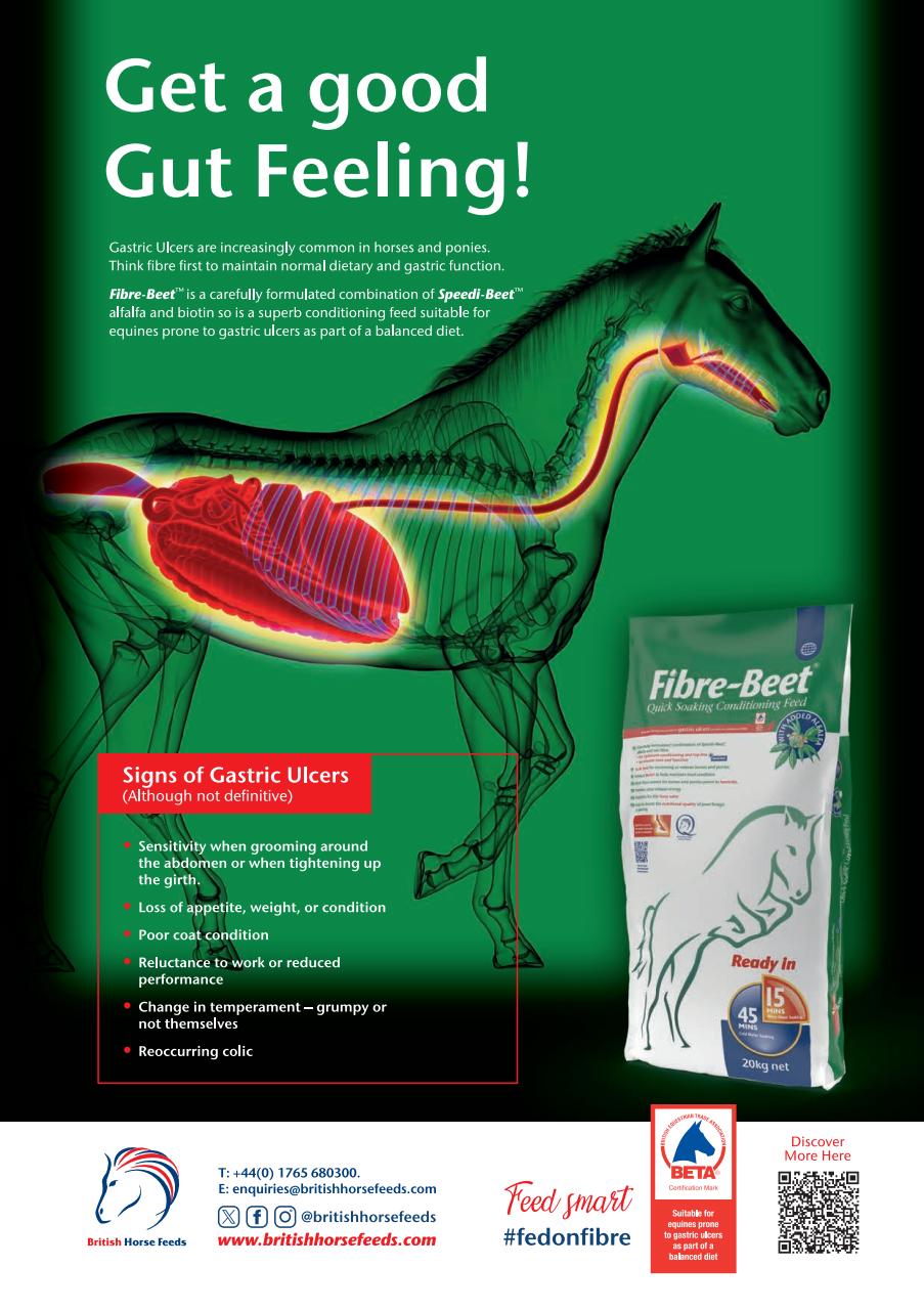 Your Horse Preview Pages