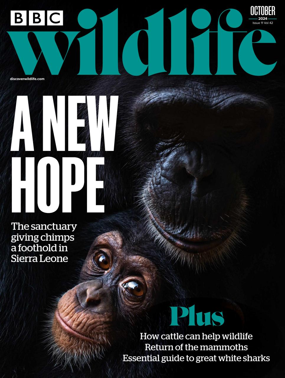 BBC Wildlife Magazine Subscriptions and October 2024 Issue