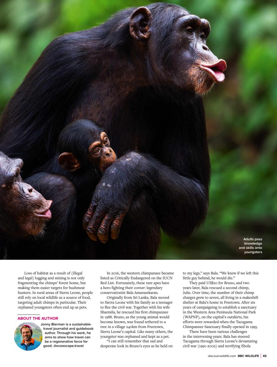BBC Wildlife Magazine Preview Pages