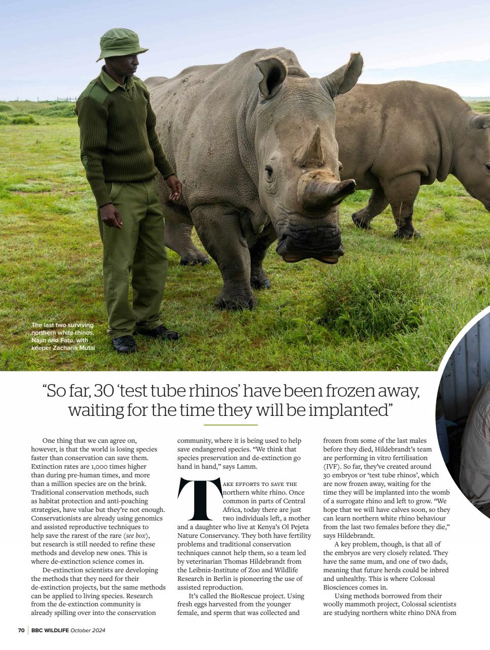 BBC Wildlife Magazine Preview Pages