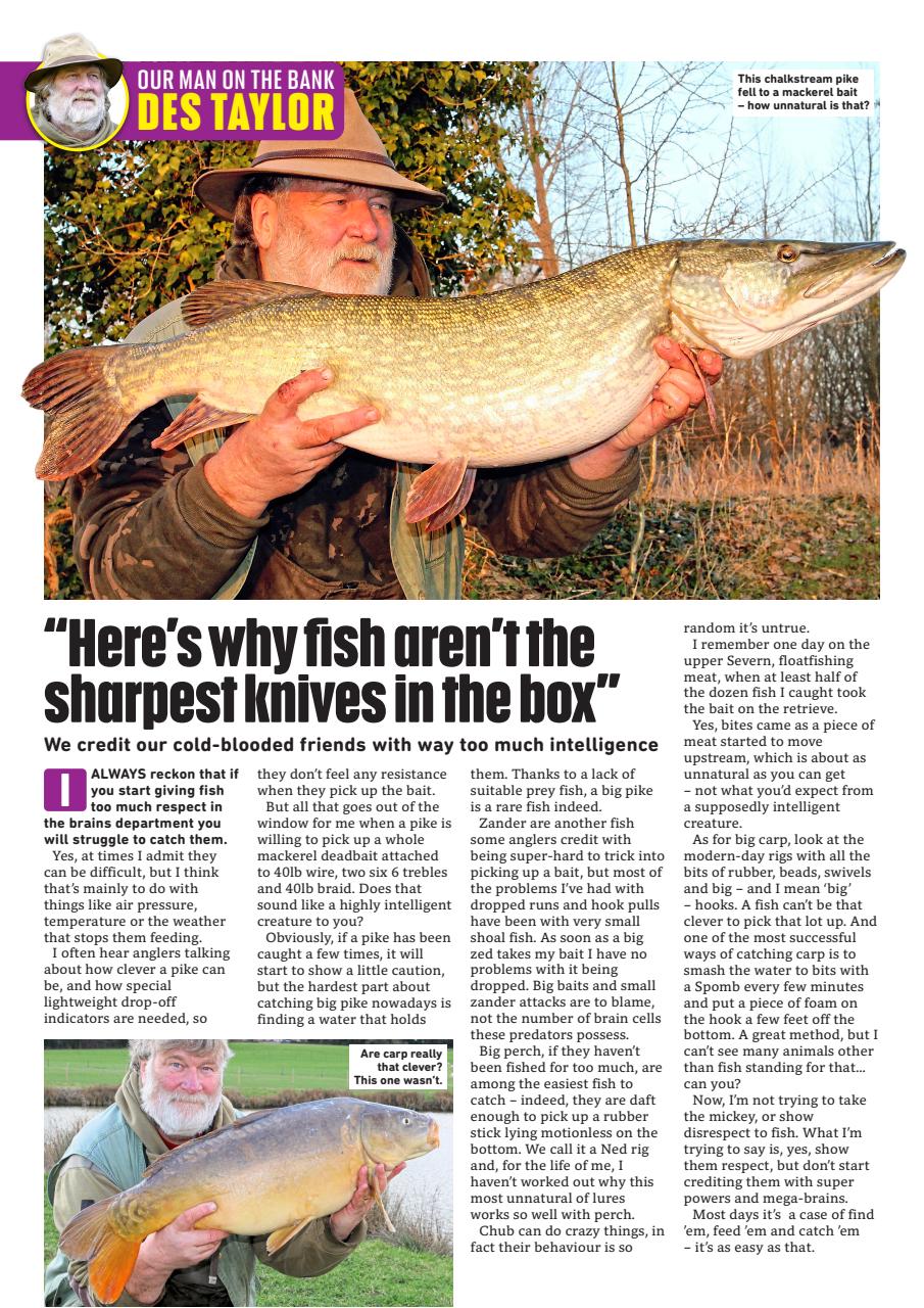 Angling Times Preview Pages