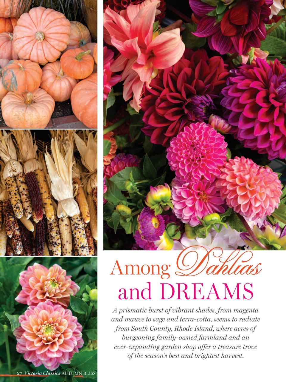 Victoria Preview Pages