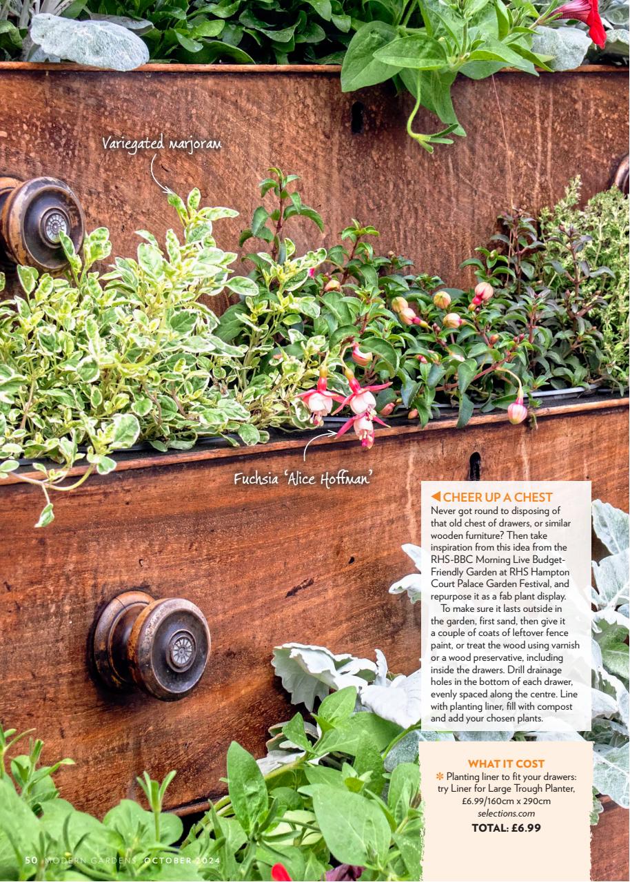 Modern Gardens Preview Pages