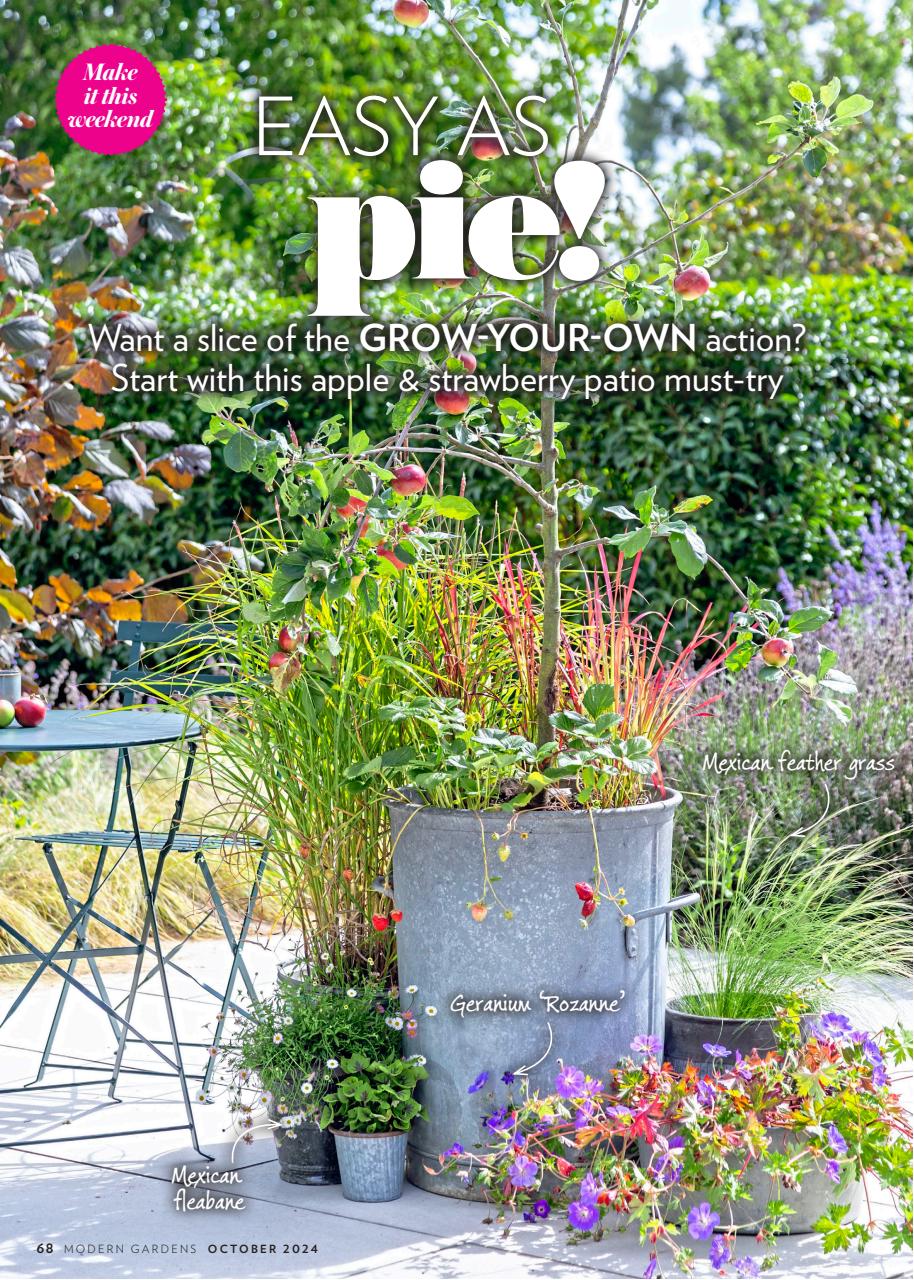 Modern Gardens Preview Pages