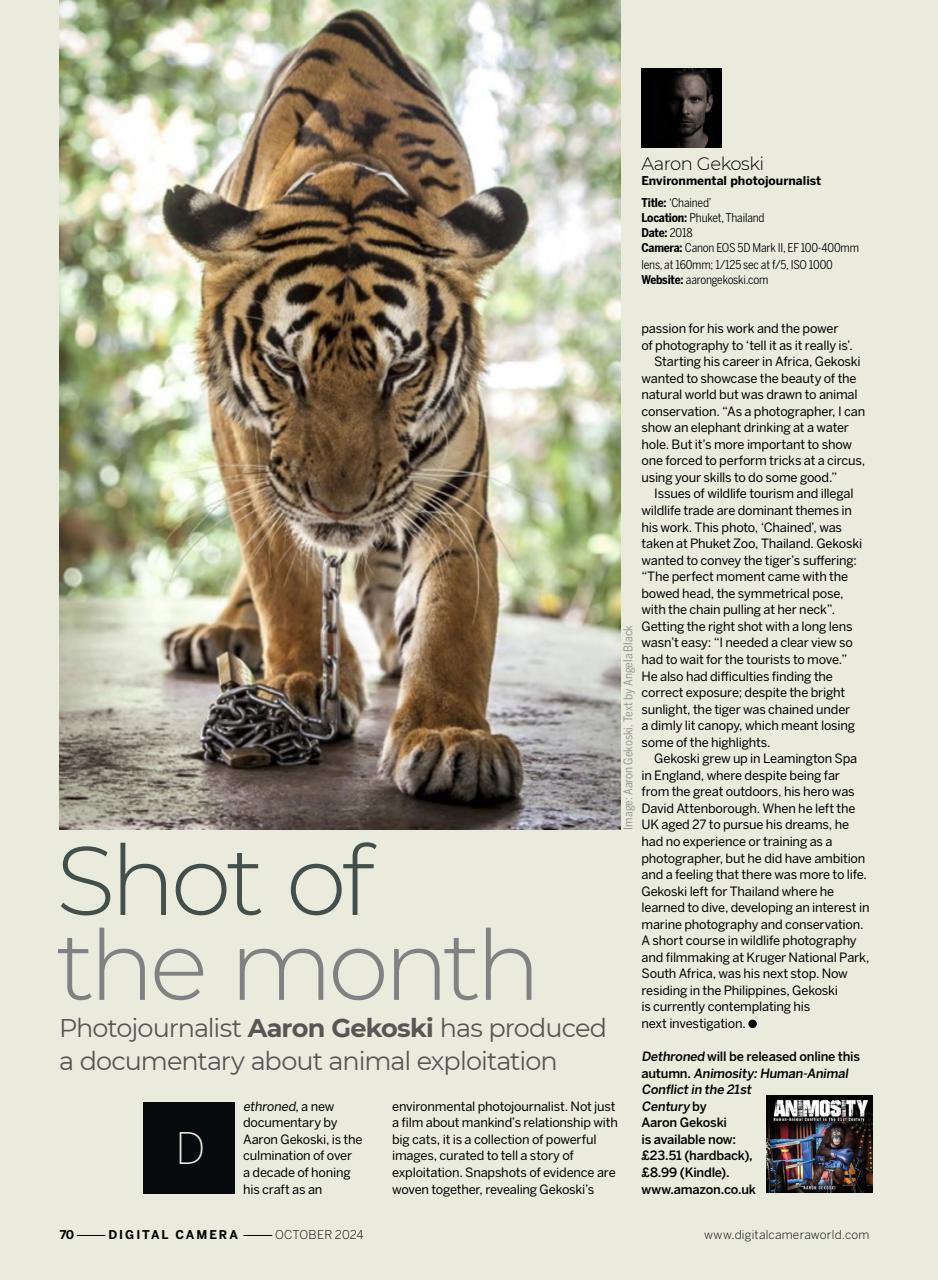 Digital Camera Magazine Preview Pages