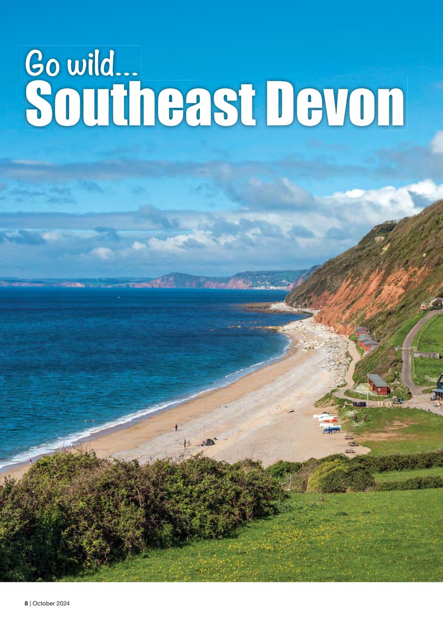 Caravan Magazine Preview Pages