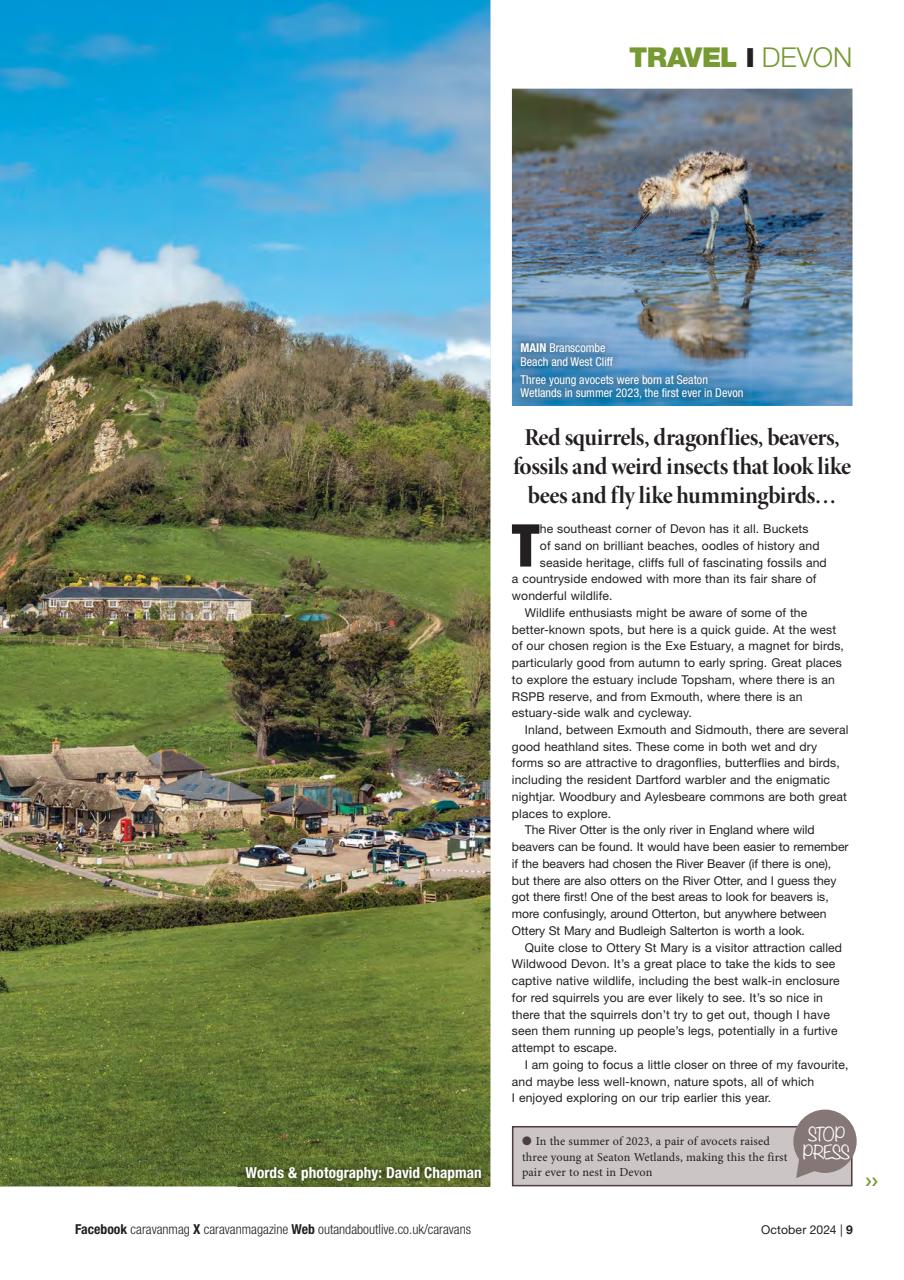 Caravan Magazine Preview Pages