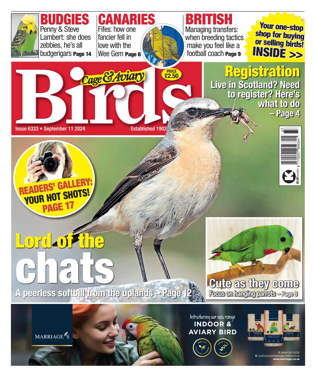 Cage & Aviary Birds Preview Pages