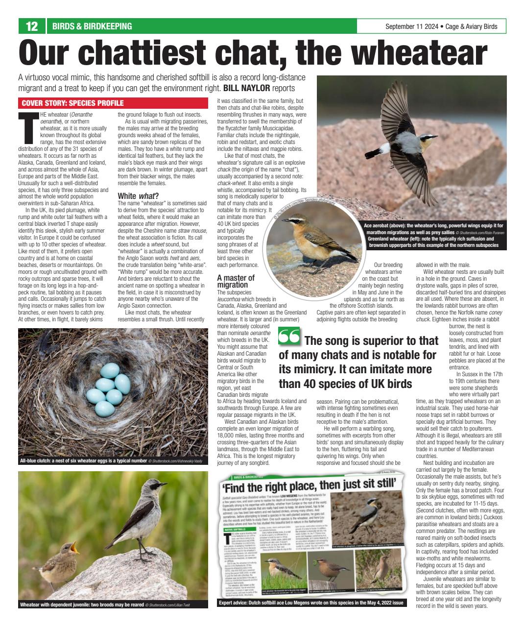 Cage & Aviary Birds Preview Pages