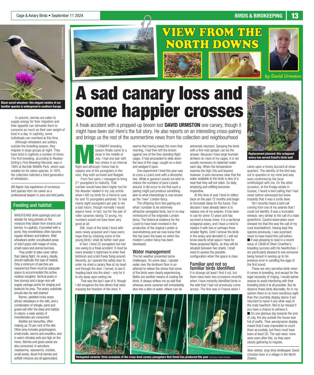 Cage & Aviary Birds Preview Pages