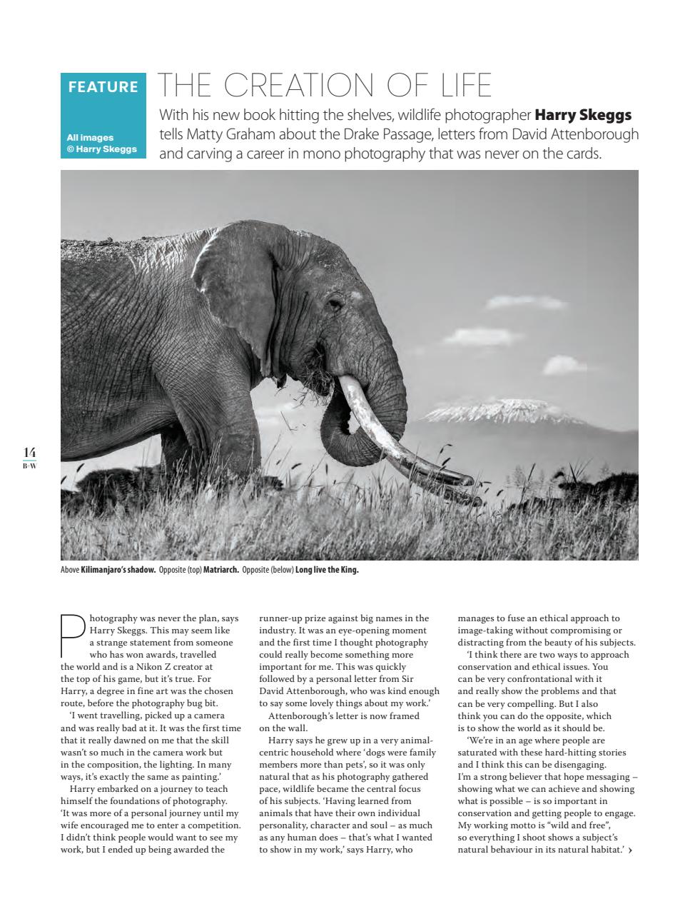 Black+White Photography Preview Pages